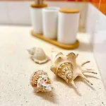 Apartmán St Agustí - Centro Mataró